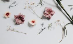 Featured image of post 恶狠狠的吐槽